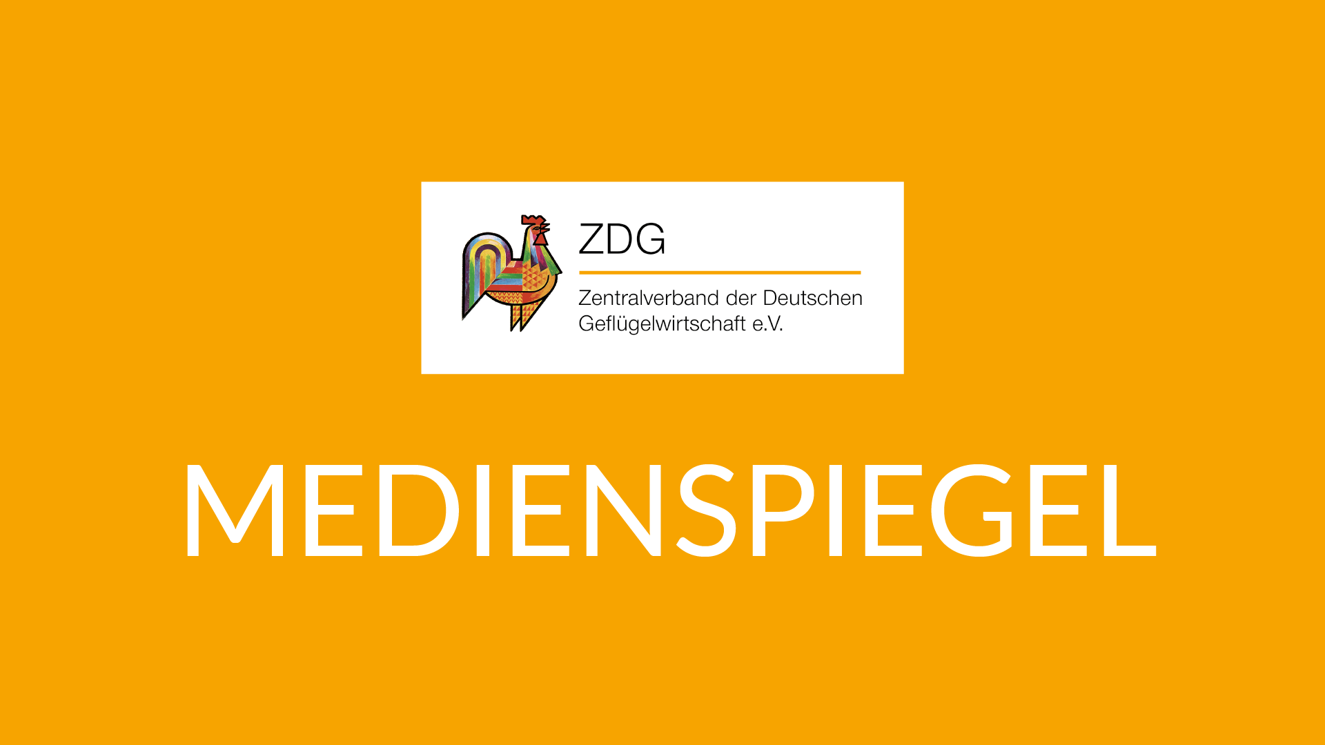 Neu: Unser Medienspiegel-Service